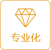 专业化